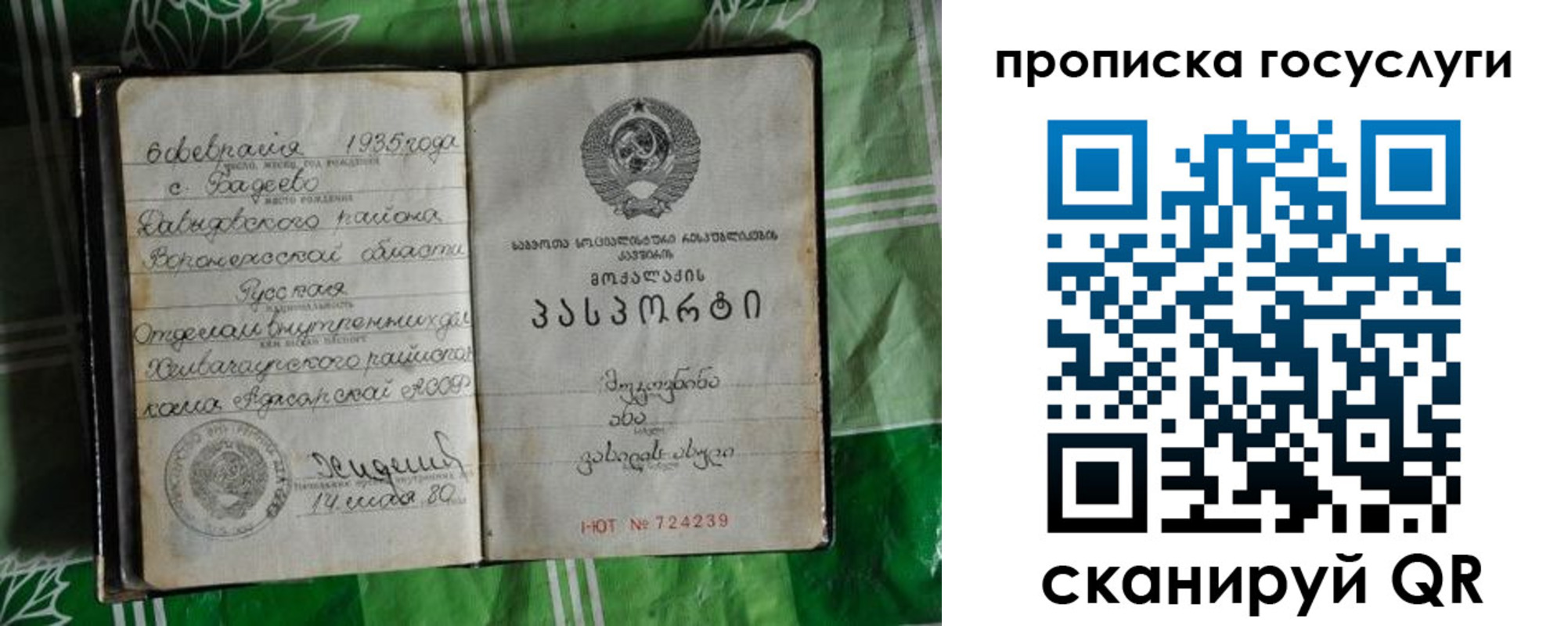 прописка паспорт в Донском